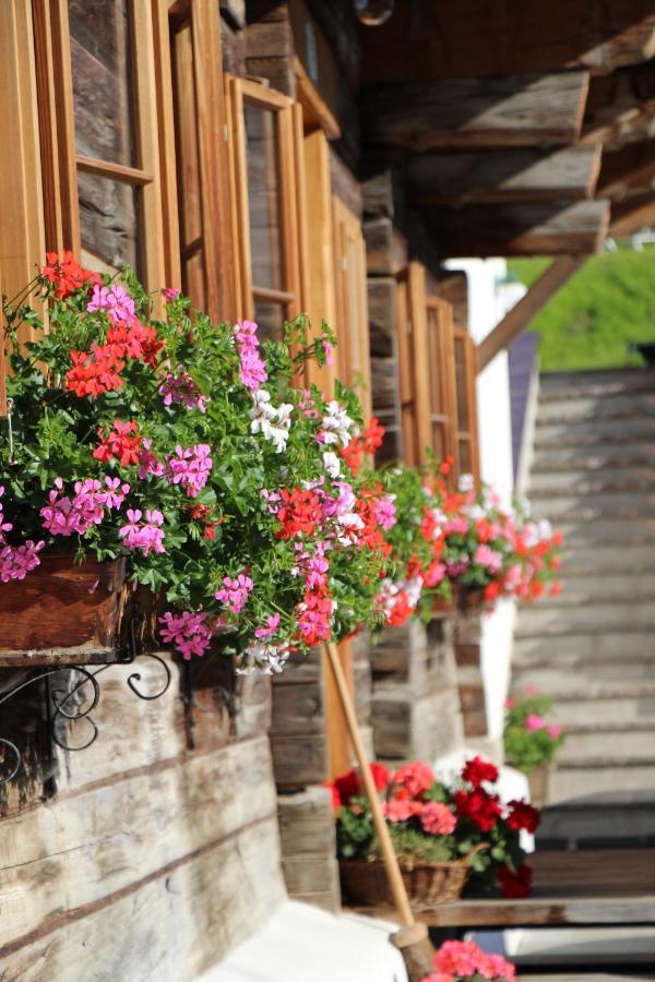 Schmiedlehnerhof Villa Birnberg Dış mekan fotoğraf